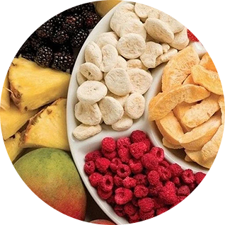 Freeze-Dried Fruit Chips